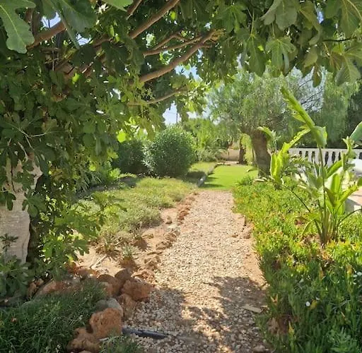 Vivenda Sabrina Villa Armação de Pêra