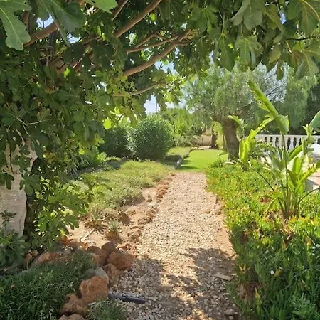 Vivenda Sabrina Villa Armação de Pêra